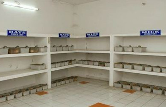 Animal House Facility